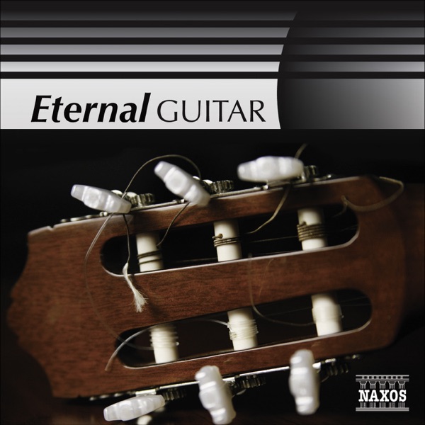 Eternal Guitar album cover