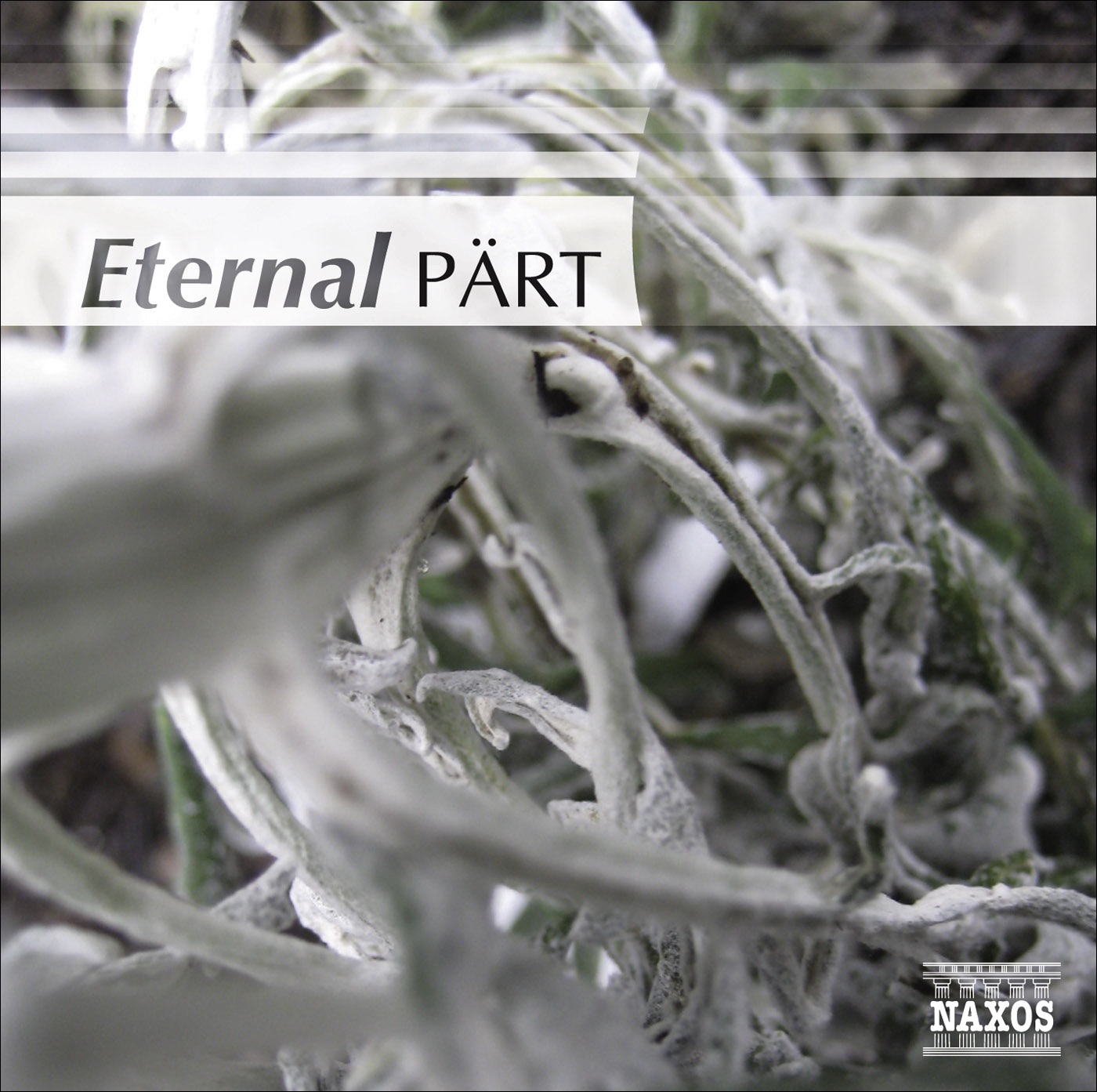 Eternal Pärt album cover