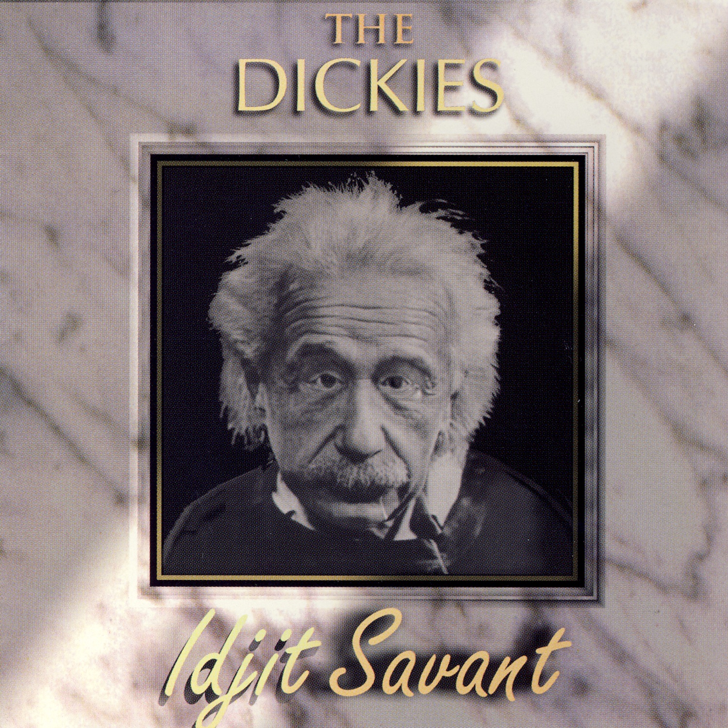 Idjit Savant album cover