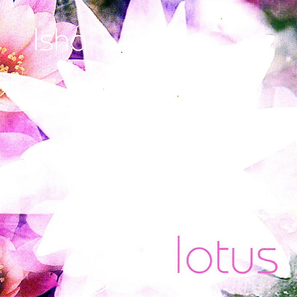 Lotus (Singles, 2001-2006) album cover