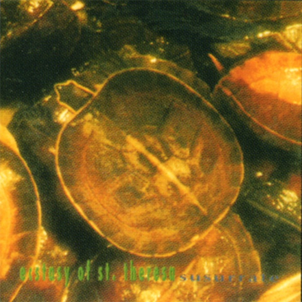 Susurrate album cover