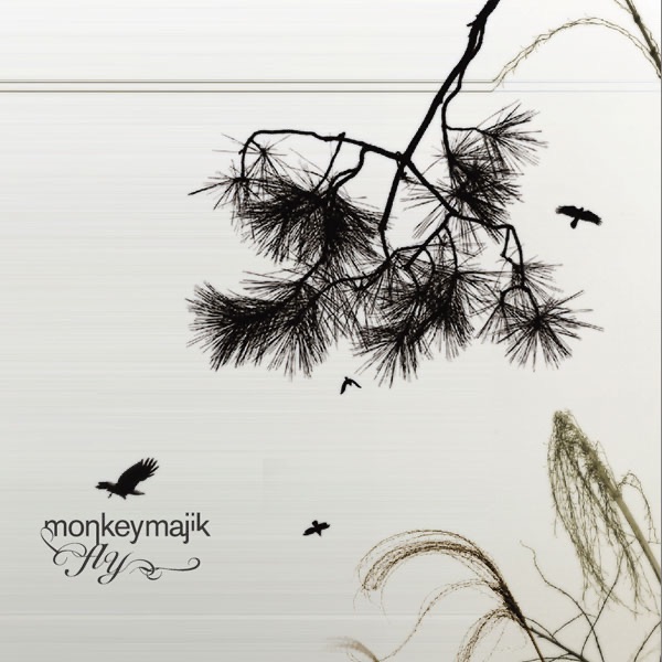 Fly - EP album cover