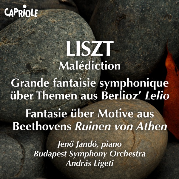 Liszt, F.: Malediction - Grande Fantaisie Symphonique On Themes From Berlioz's Lelio - Fantasie On M album cover