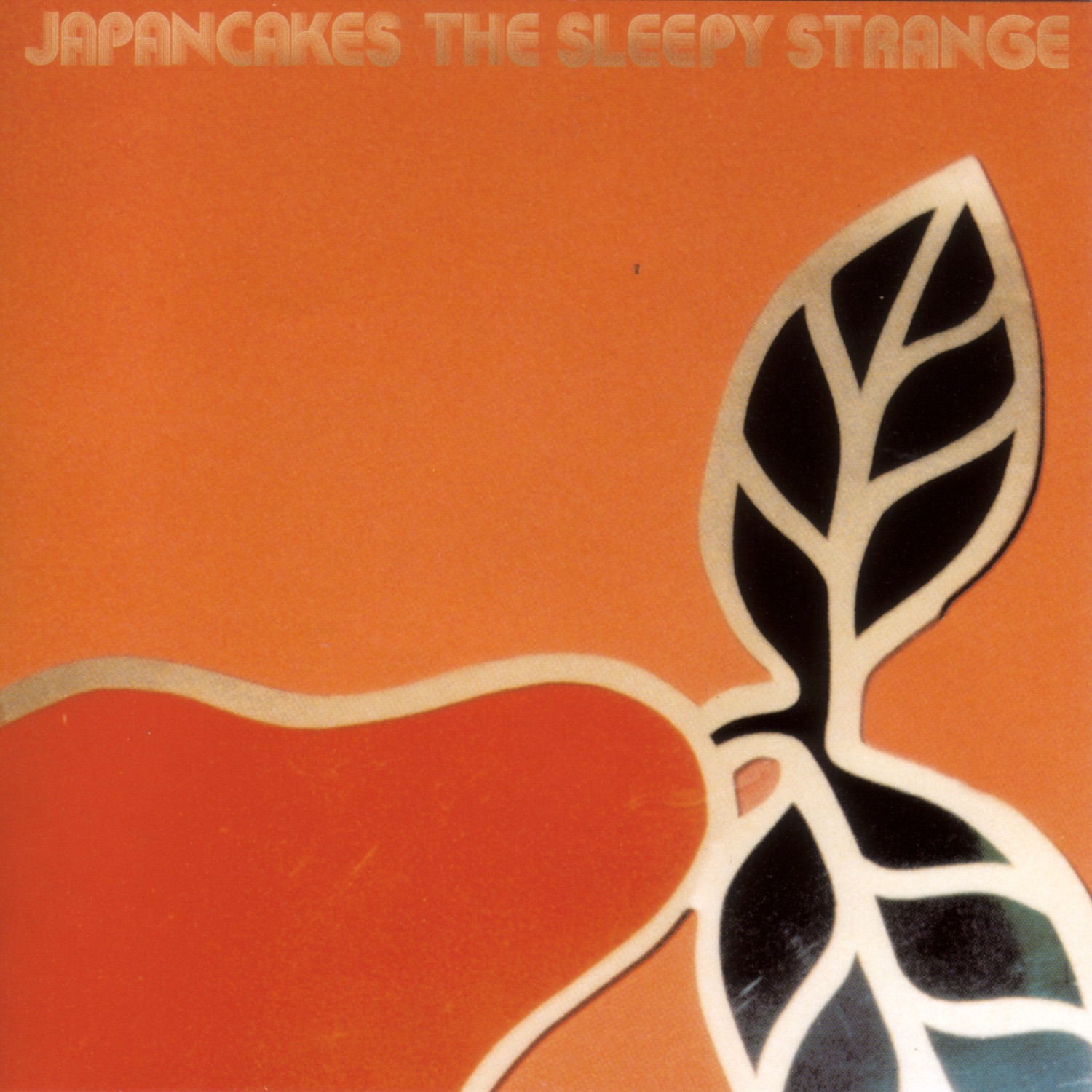 The Sleepy Strange album cover