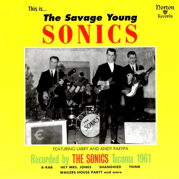 The Savage Young Sonics album cover