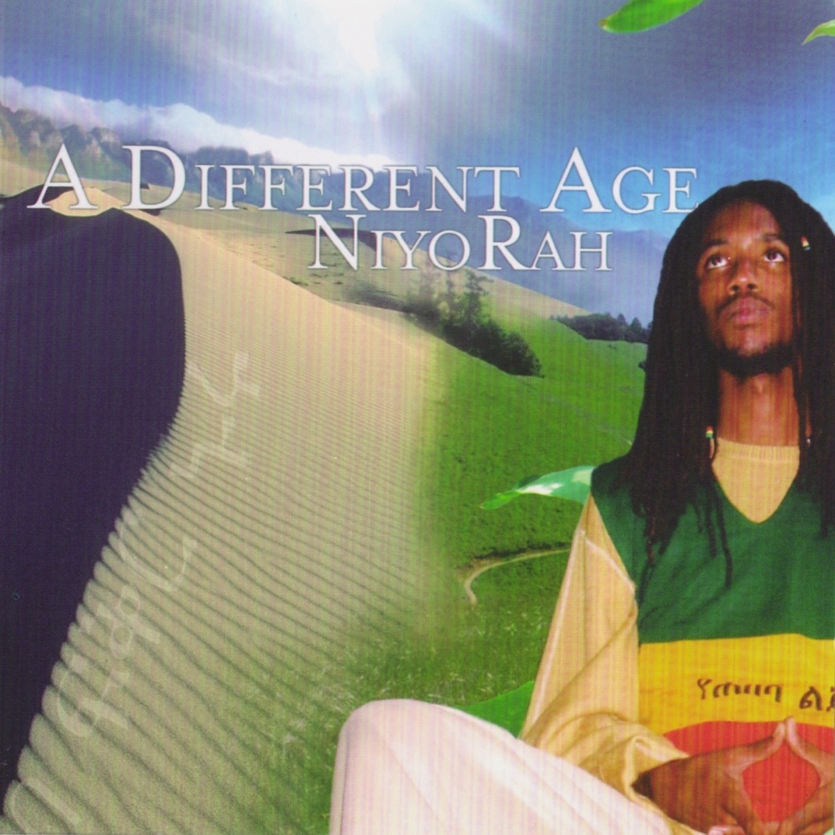 A Different Age album cover