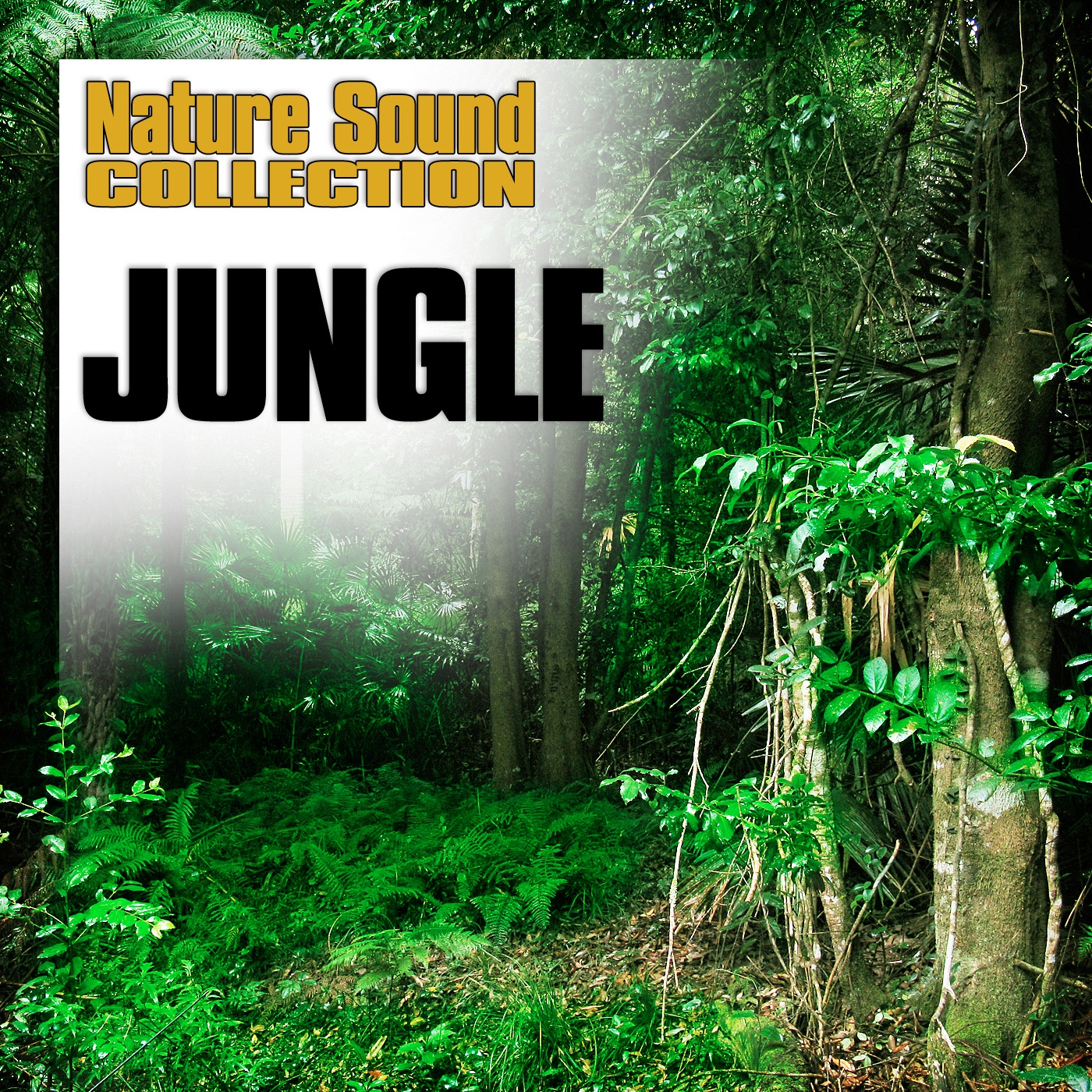 Jungle (Nature Sounds) album cover