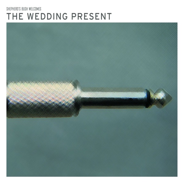 Shepherd's Bush Welcomes the Wedding Present (Live) album cover
