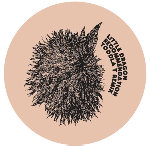 Recommendation - Single album cover