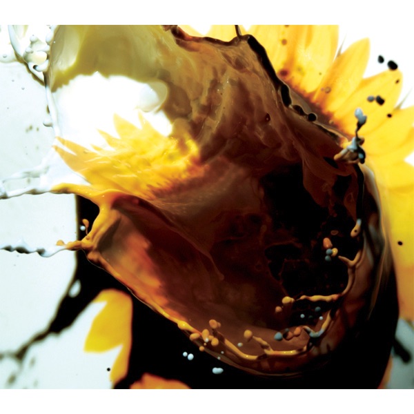 Hikari No Kessho - Single album cover