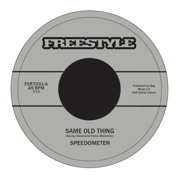 Same Old Thing / Am I Your Woman - Single album cover