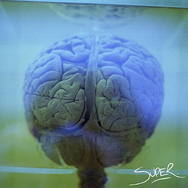 Rank Functions - EP album cover