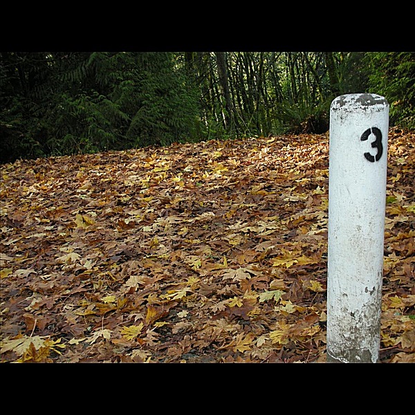 Paris Can Wait album cover