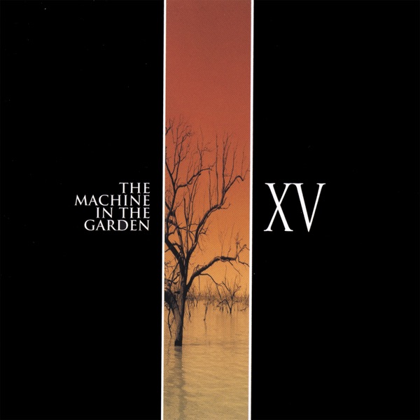 XV album cover