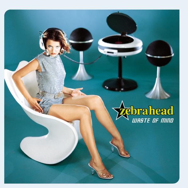 Waste of Mind album cover