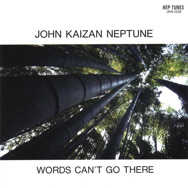 WORDS CAN'T GO THERE album cover