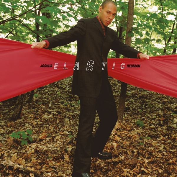 Elastic album cover