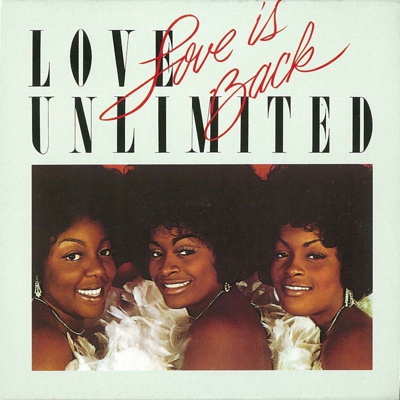 Love Is Back album cover