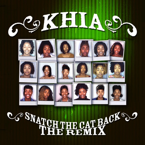 Snatch the Cat Back (The Remix) - Single album cover