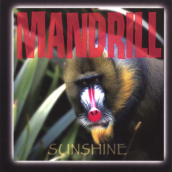 Sunshine CD album cover