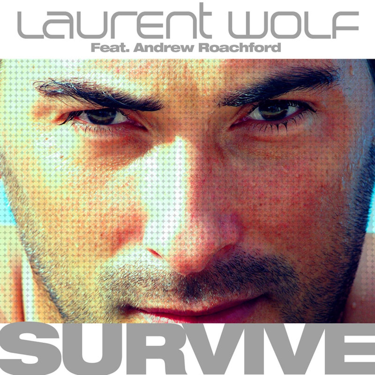 Survive (feat. Andrew Roachford) album cover