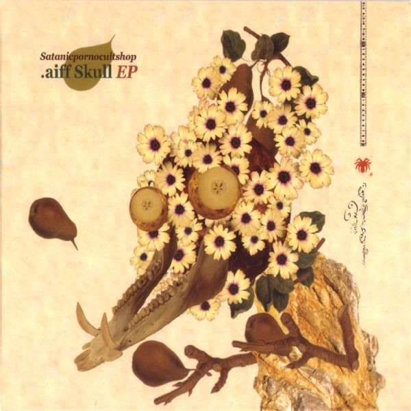 .aiff Skull EP album cover
