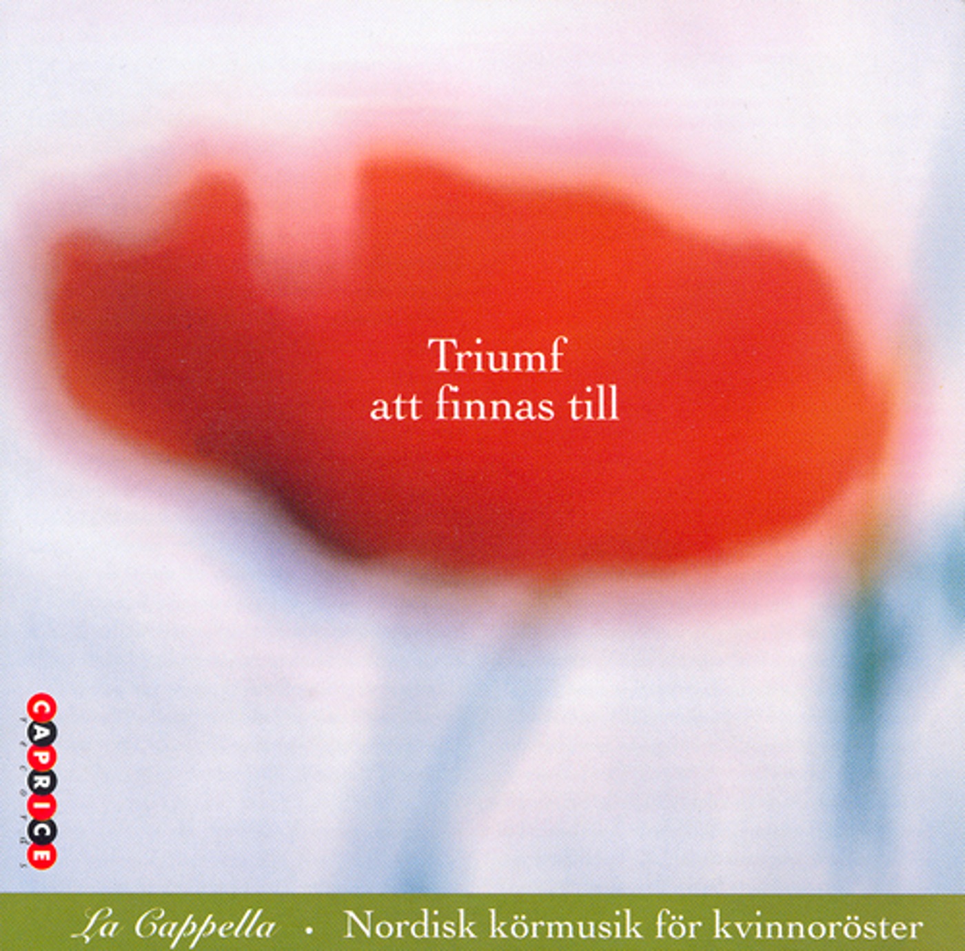 Triumf Att Finnas Till album cover