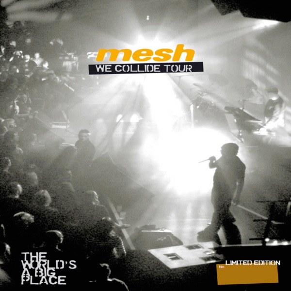 We Collide Tour - the World's a Big Place album cover