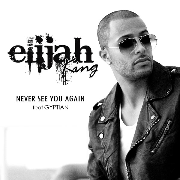 Never See You Again (feat. Gyptian) - Single album cover