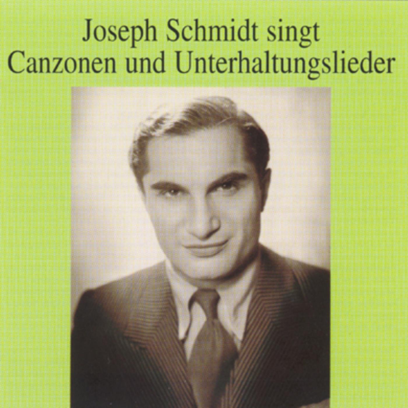 Joseph Schmidt Singt Canzonen Und Unterhaltungslieder album cover