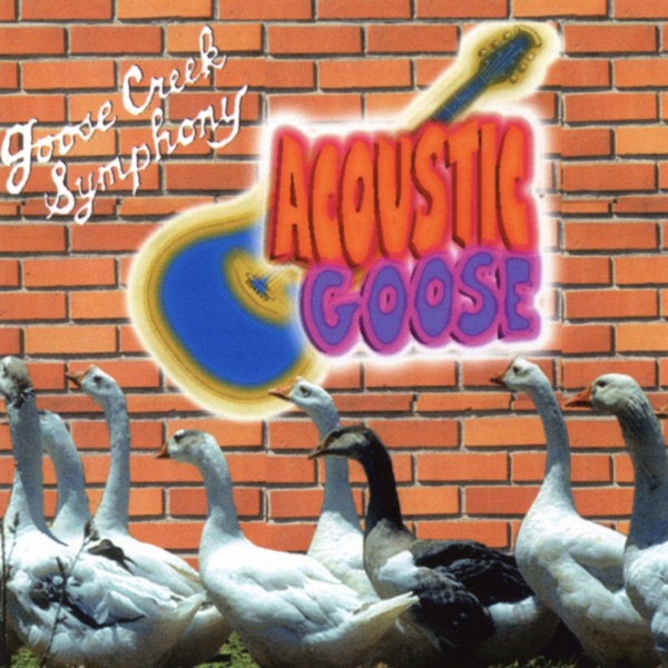 Acoustic Goose album cover