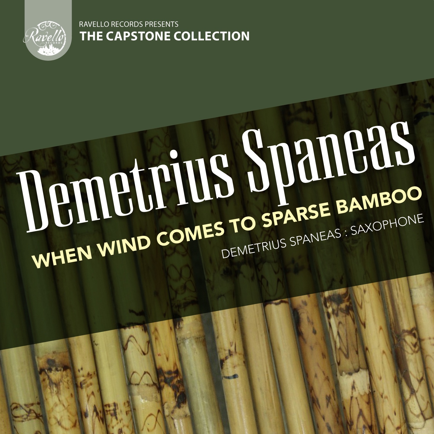 Spaneas: When Wind Comes to Sparse Bamboo album cover