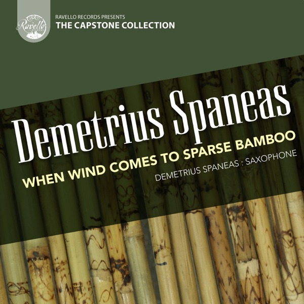 Spaneas: When Wind Comes to Sparse Bamboo album cover