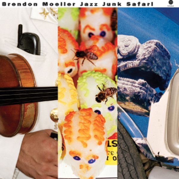 Jazz Junk Safari album cover