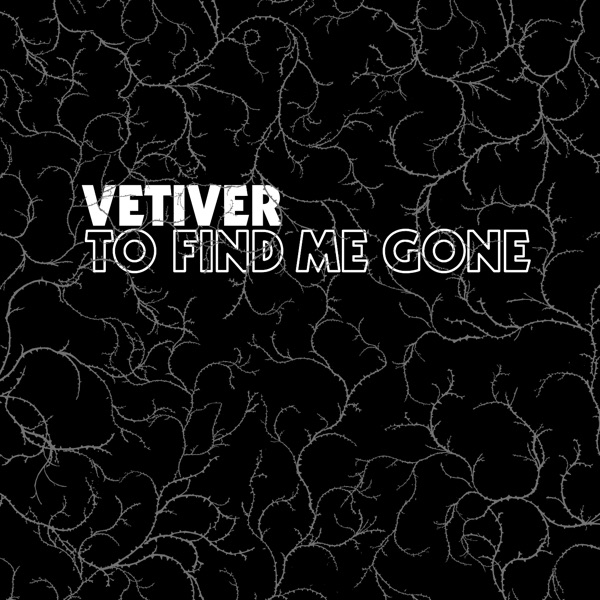 To Find Me Gone album cover