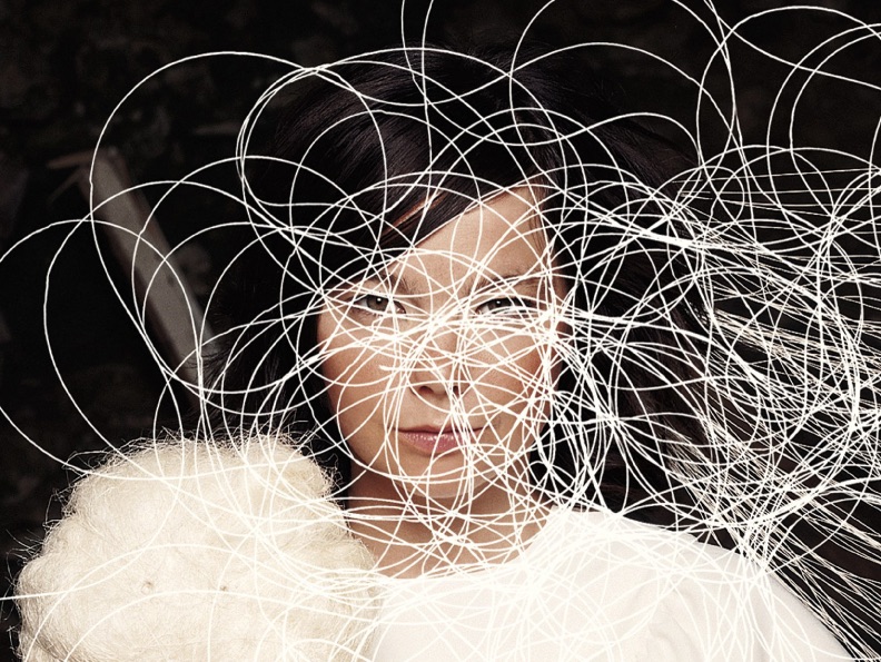 The Video Album Collection - Homogenic & Vespertine album cover