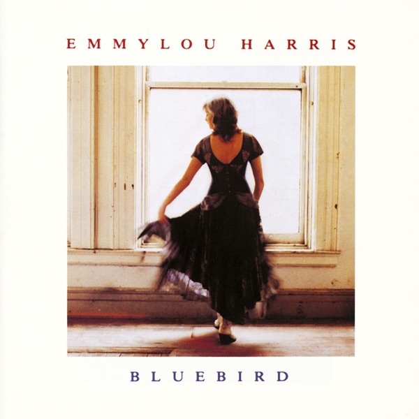 Bluebird album cover
