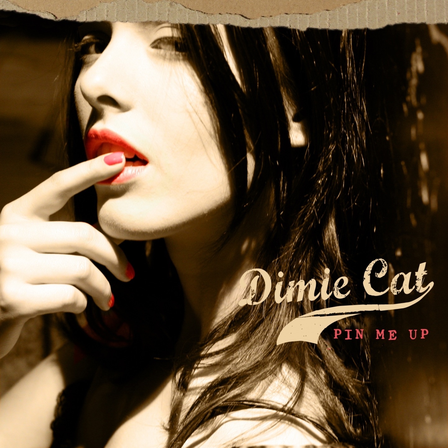 Pin Me Up album cover