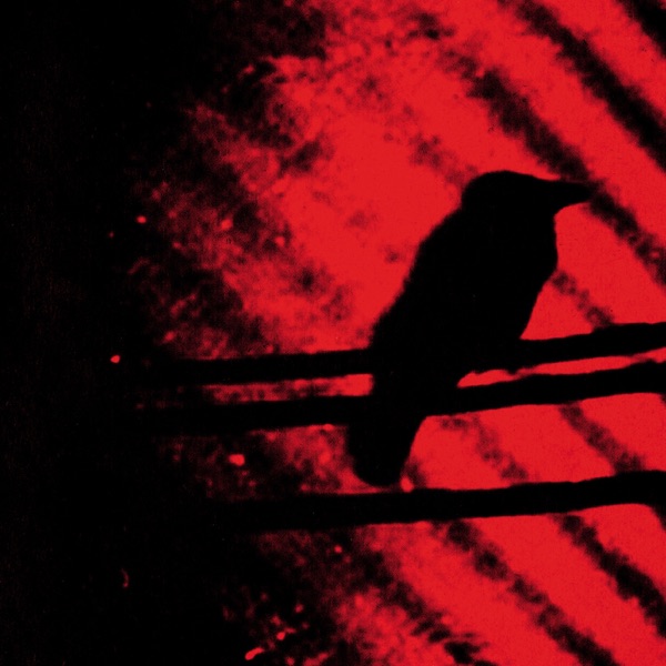 Born Into Trouble As the Sparks Fly Upward album cover