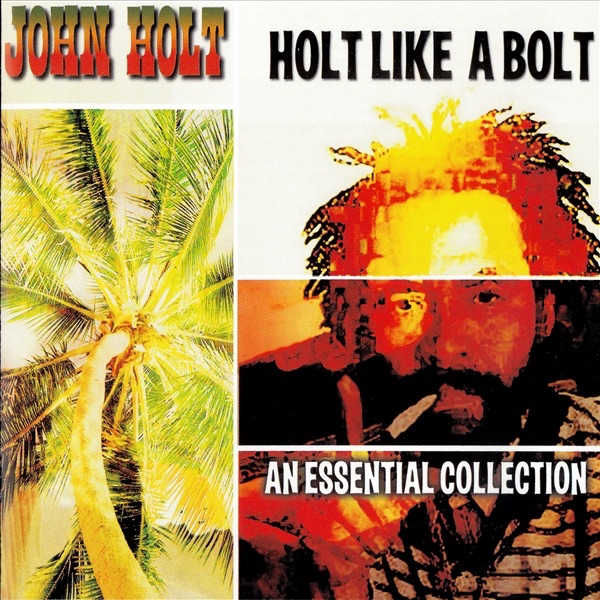 Holt Like a Bolt album cover