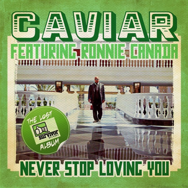 Never Stop Loving Stop (feat. Ronnie Canada) [Remastered] album cover
