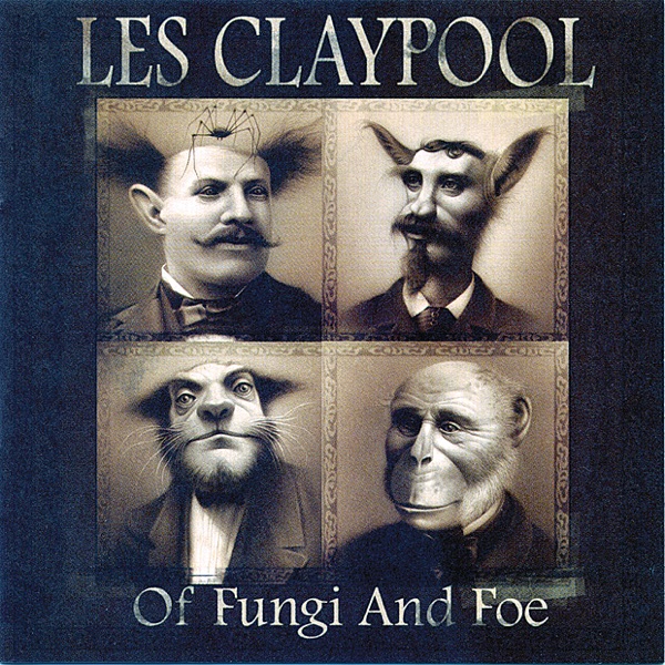 Of Fungi and Foe album cover