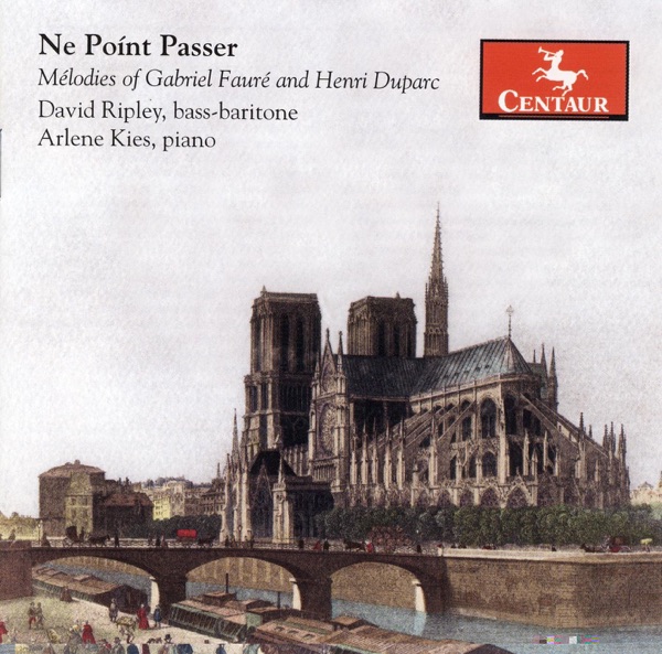 Ne Point Passer album cover