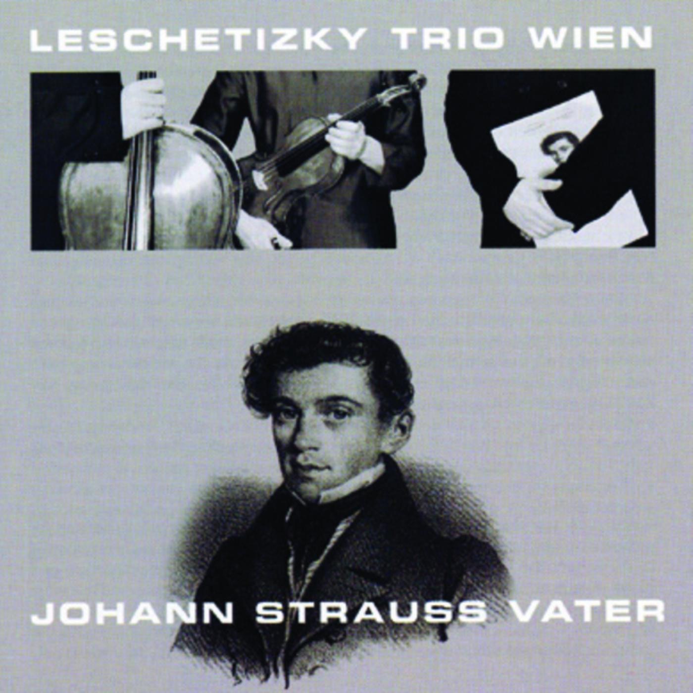 Leschetizky Trio Wien album cover