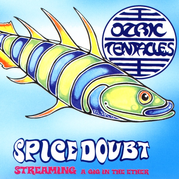 Spice Doubt album cover