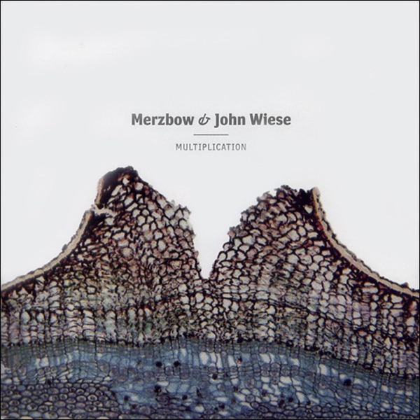 Multiplication album cover