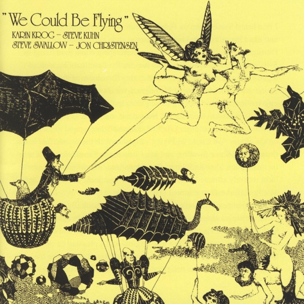 We Could Be Flying album cover