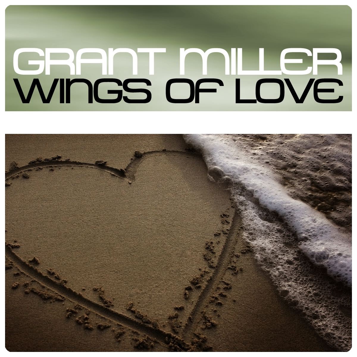 Wings of Love - Single album cover