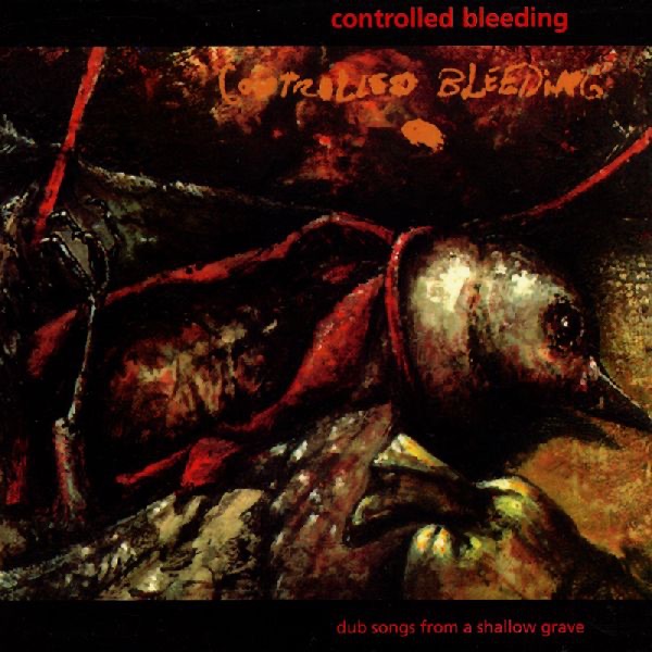 Dub Songs from a Shallow Grave album cover