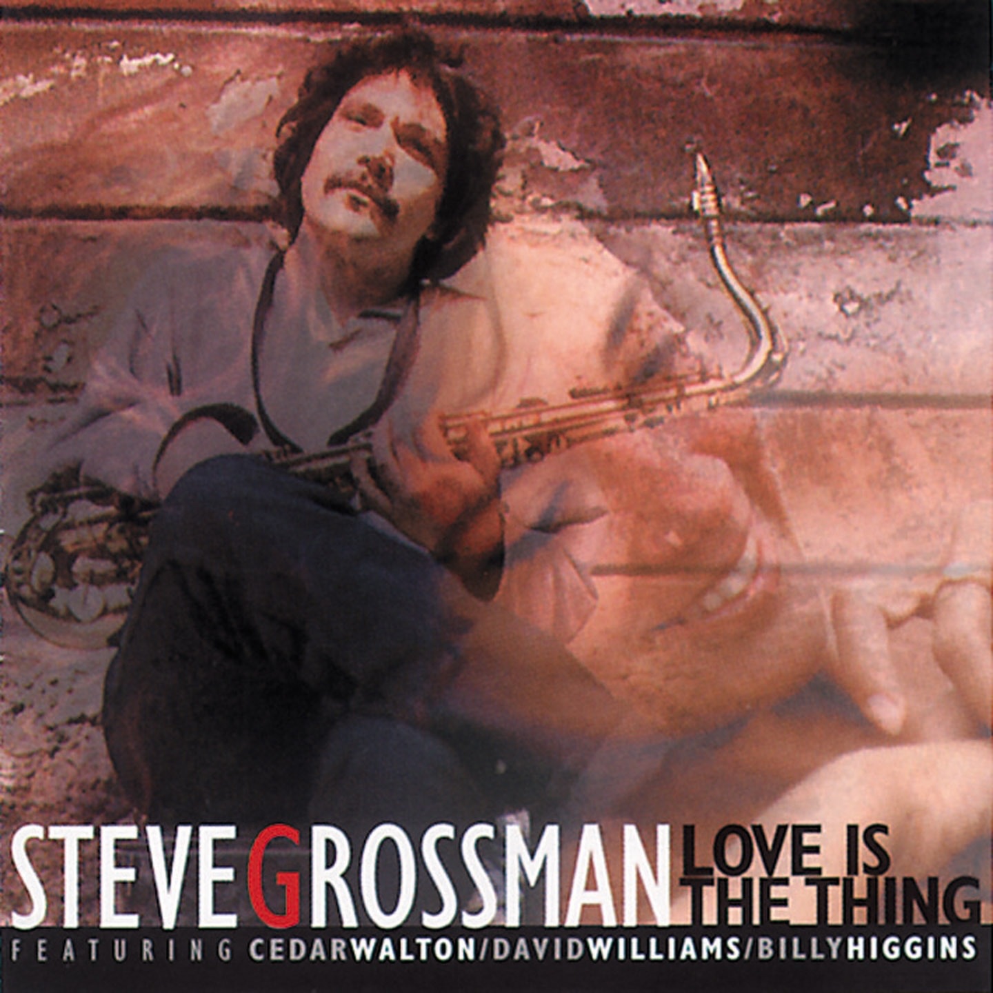 Love Is the Thing album cover